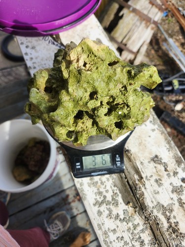 Fiji dry base rock for - fiji,