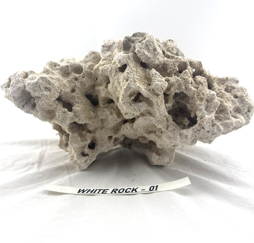 White dry reef - reef, rock